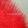 Strutsin sulka (höyhen) pyrstöhöyhen kokonainen, "Kirsikanpunainen"