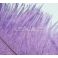 Strutsin sulka (höyhen) pyrstöhöyhen kokonainen, Purple