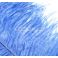 Strutsin sulka (höyhen) pyrstöhöyhen kokonainen, Sininen