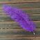 Strutsin sulka (höyhen) Purple jättikoko pituus 50 - 60 cm
