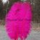 Strutsin sulka (höyhen) FLU HOT Pink sävy 2 jättikoko pituus 50 - 60 cm