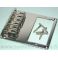 TALLA06CR, Tele -tyylinen talla humbuckerille, kromi