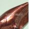 Vaappufolio suklaakonvehtifolio sileä ruskea